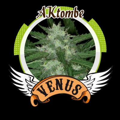 Aktombe