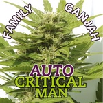 Auto Critical Man