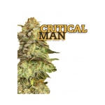 Critical Man