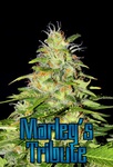 Marley´s Tribute