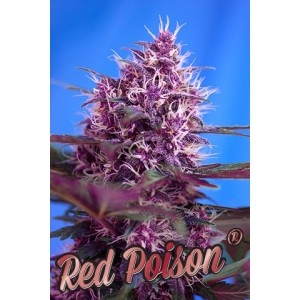 Red Poison