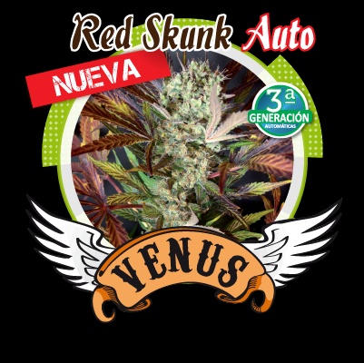 Red Skunk Auto