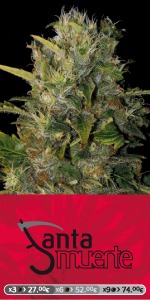 Santa Muerte