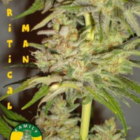 Critical Man