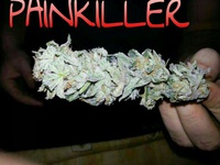 Painkiller