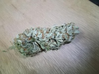 Sweet skunk